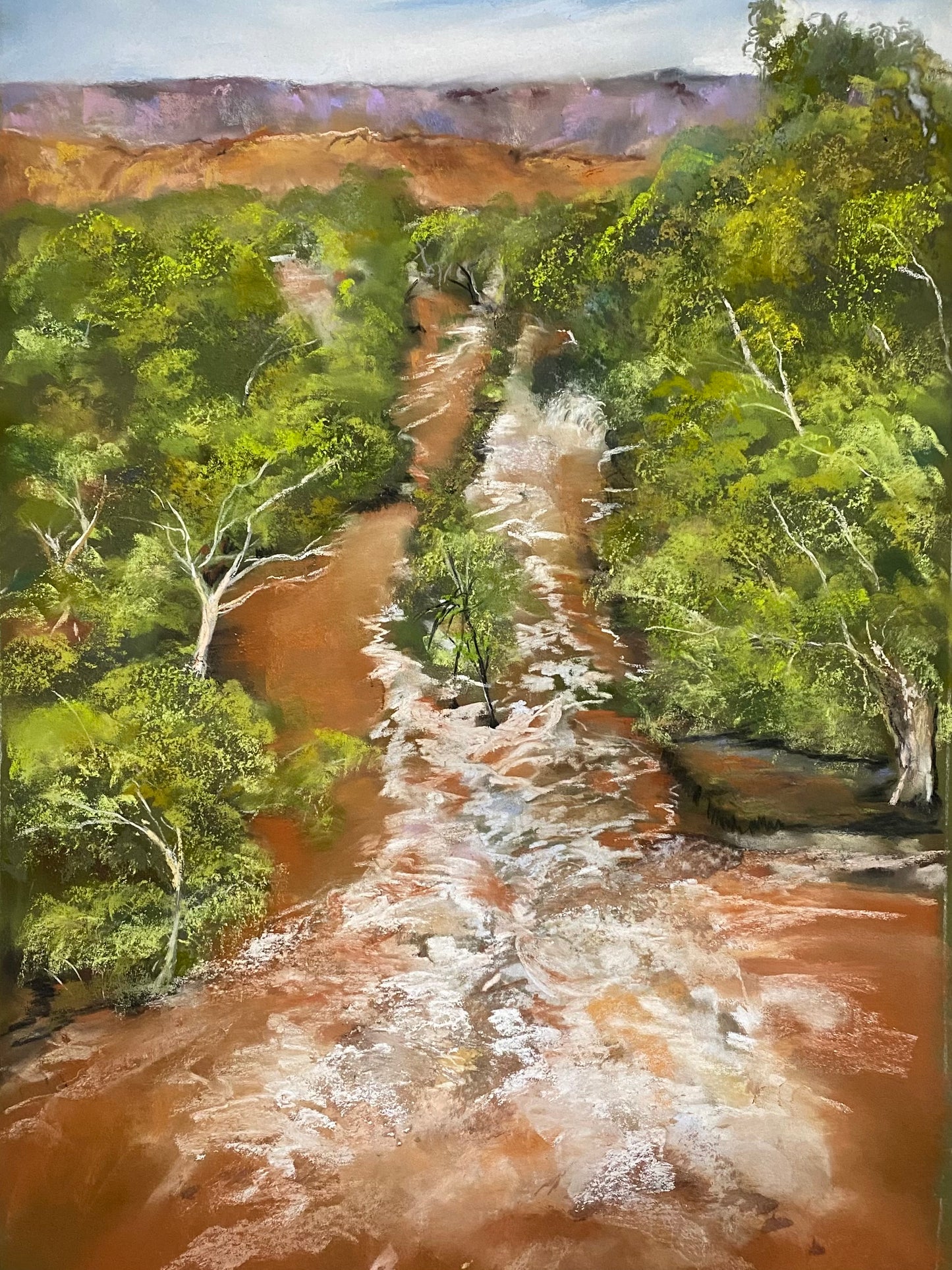 Todd River Flooding Trio