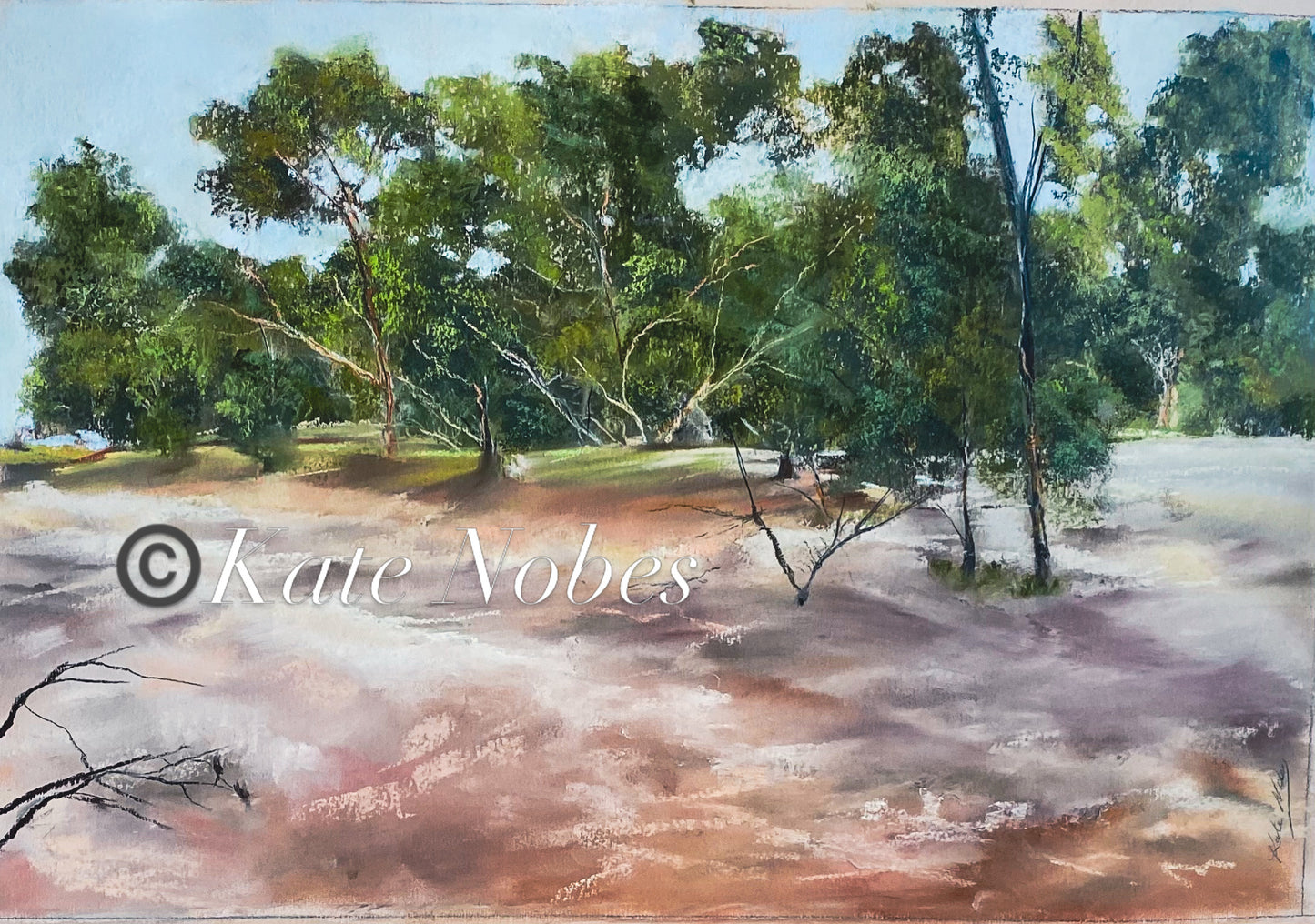 Todd River Flooding Trio