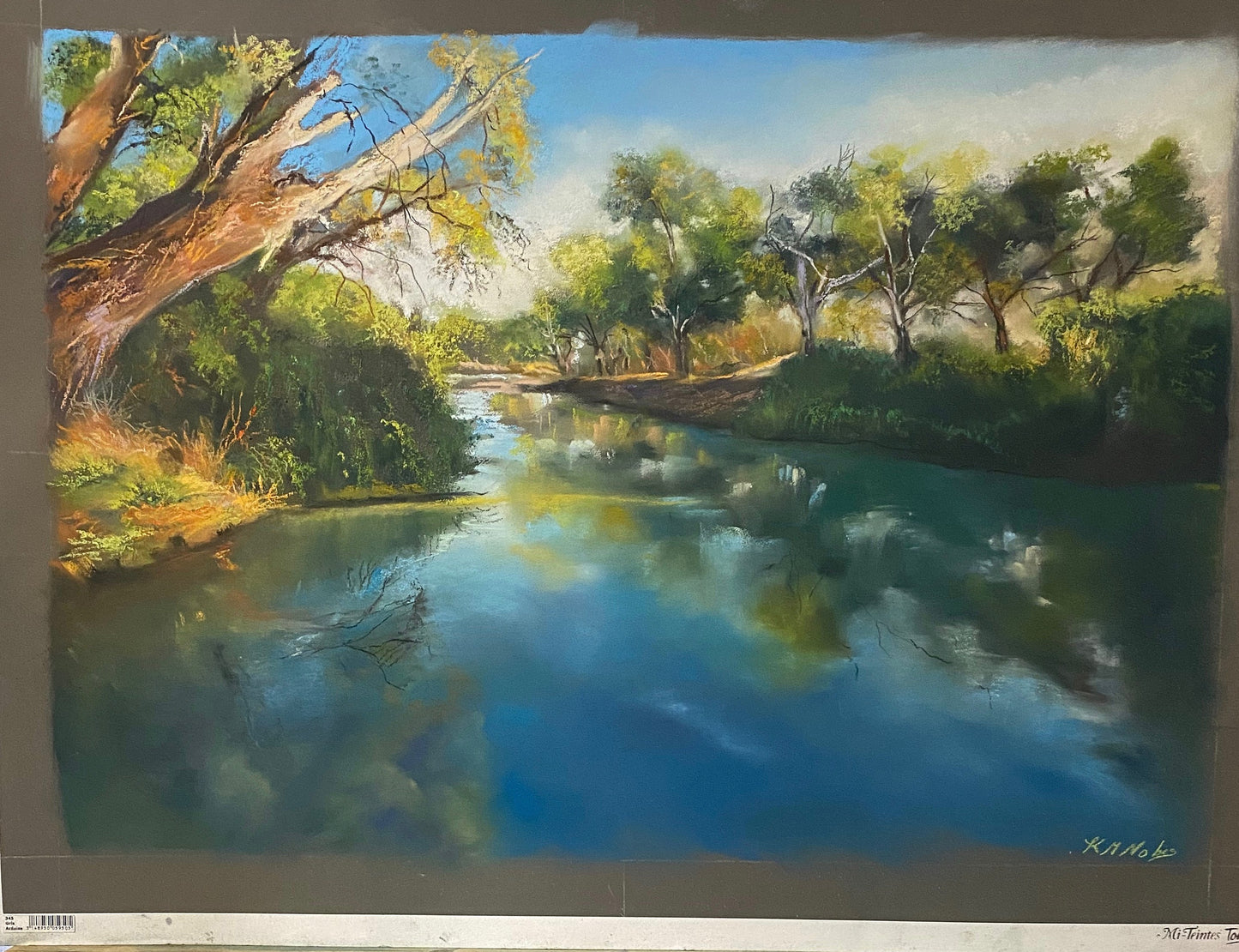 Dappled light on the Murrumbidgee Original Pastel Artwork