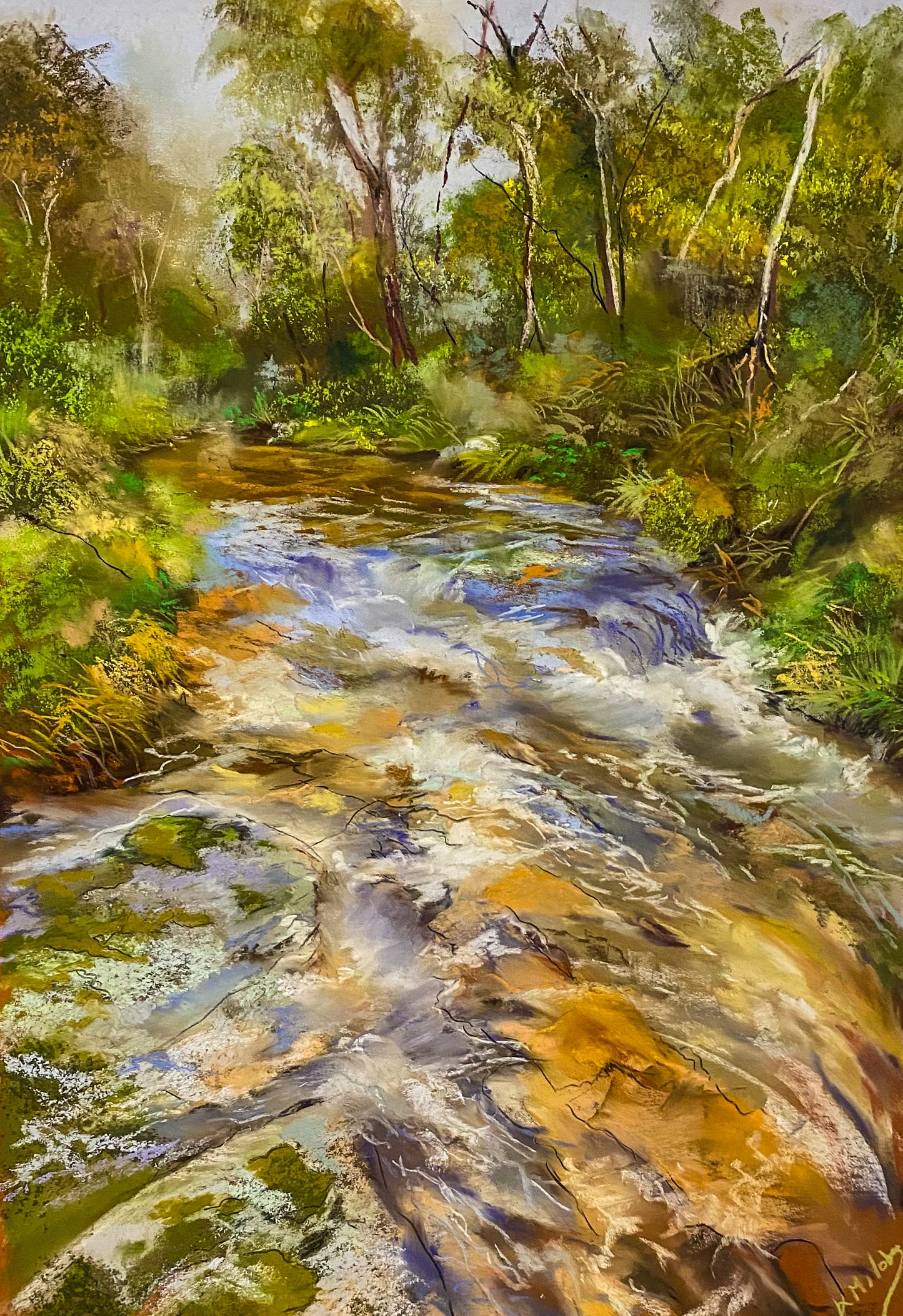 Condamine River