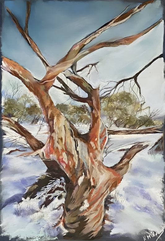 Snow gum Dance Original Pastel Artwork